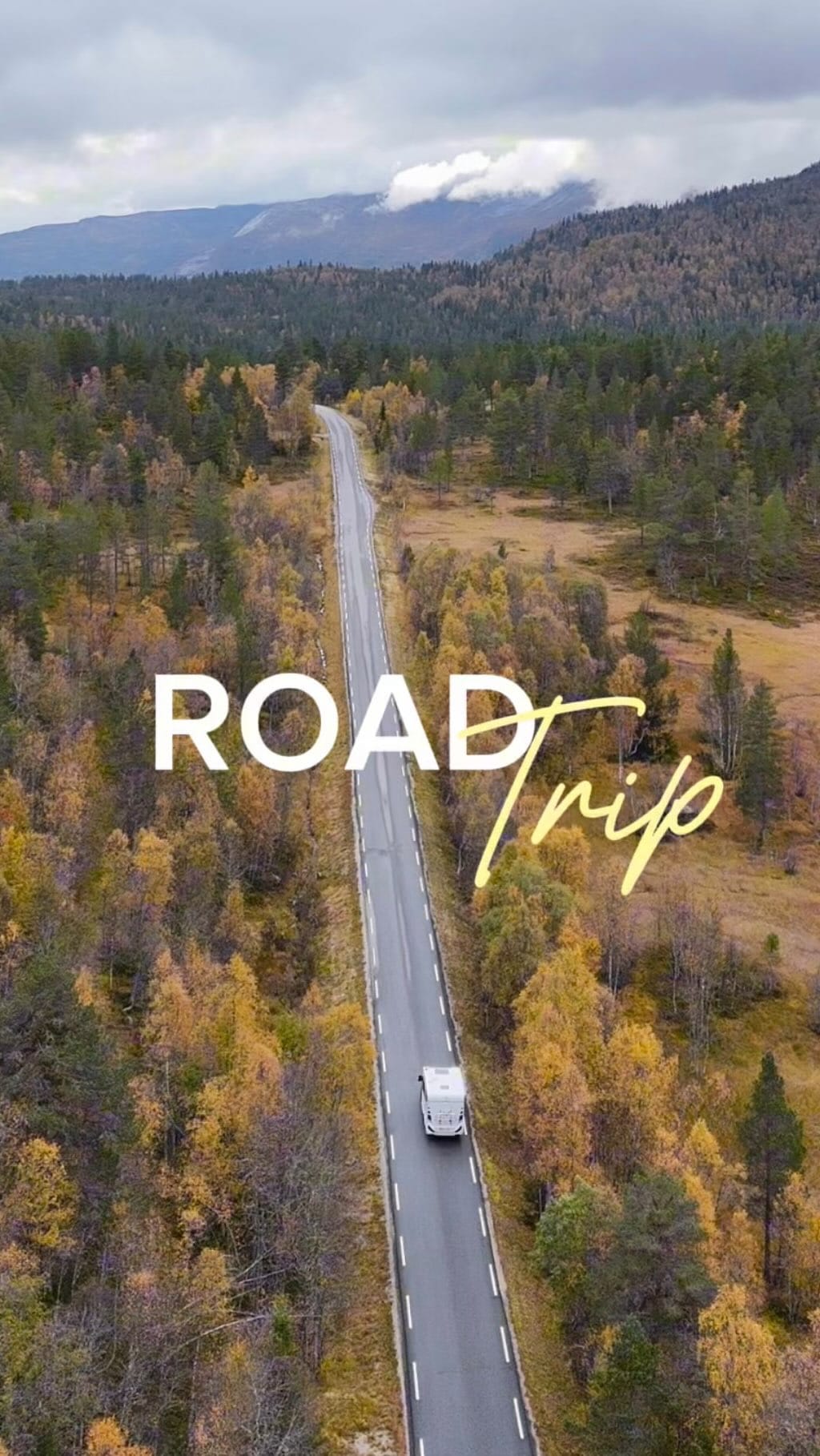 Post 6 by NADINE VOIGT on Instagram (video)