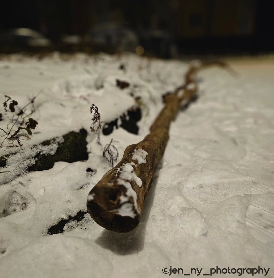 Post 6 by Jenny Schulz on Instagram (image)