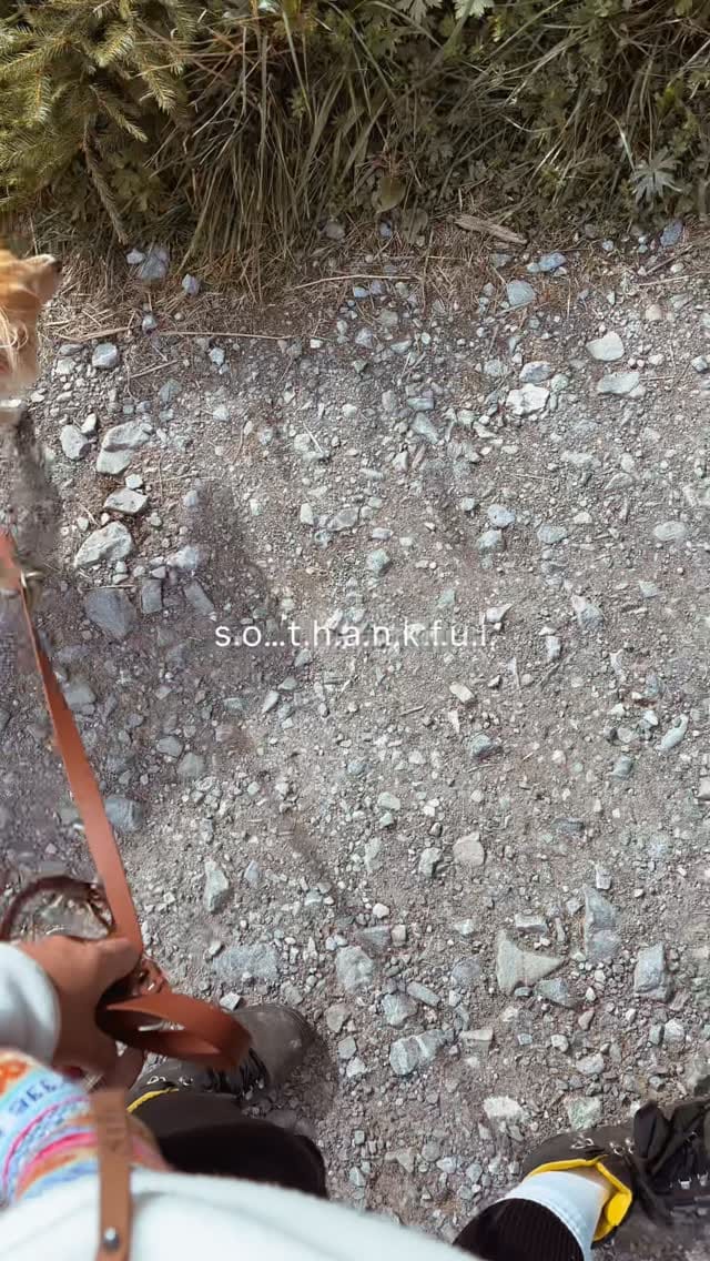 Post 8 by Kiwi on Instagram (video)