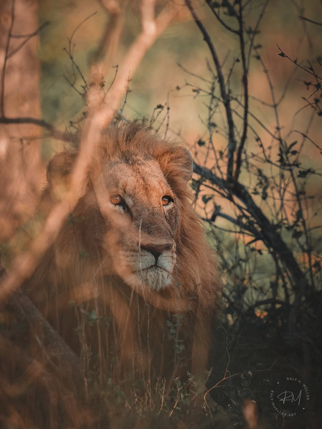 Post 8 by Ralf Müller | fotografie on Instagram (carousel)