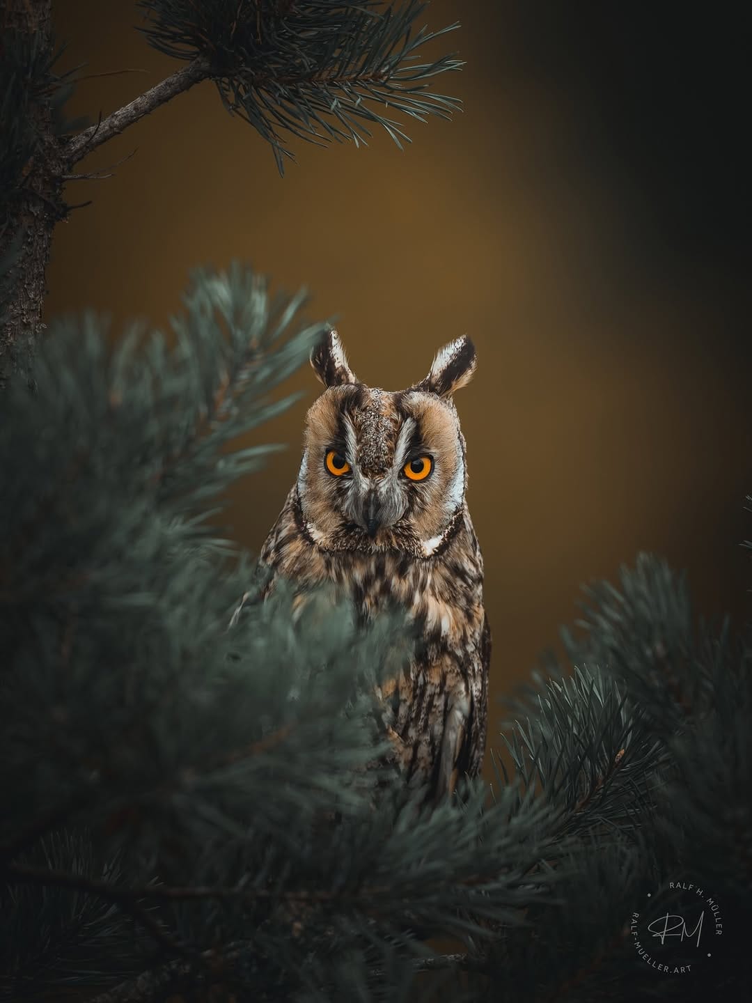 Post 9 by Ralf Müller | fotografie on Instagram (carousel)