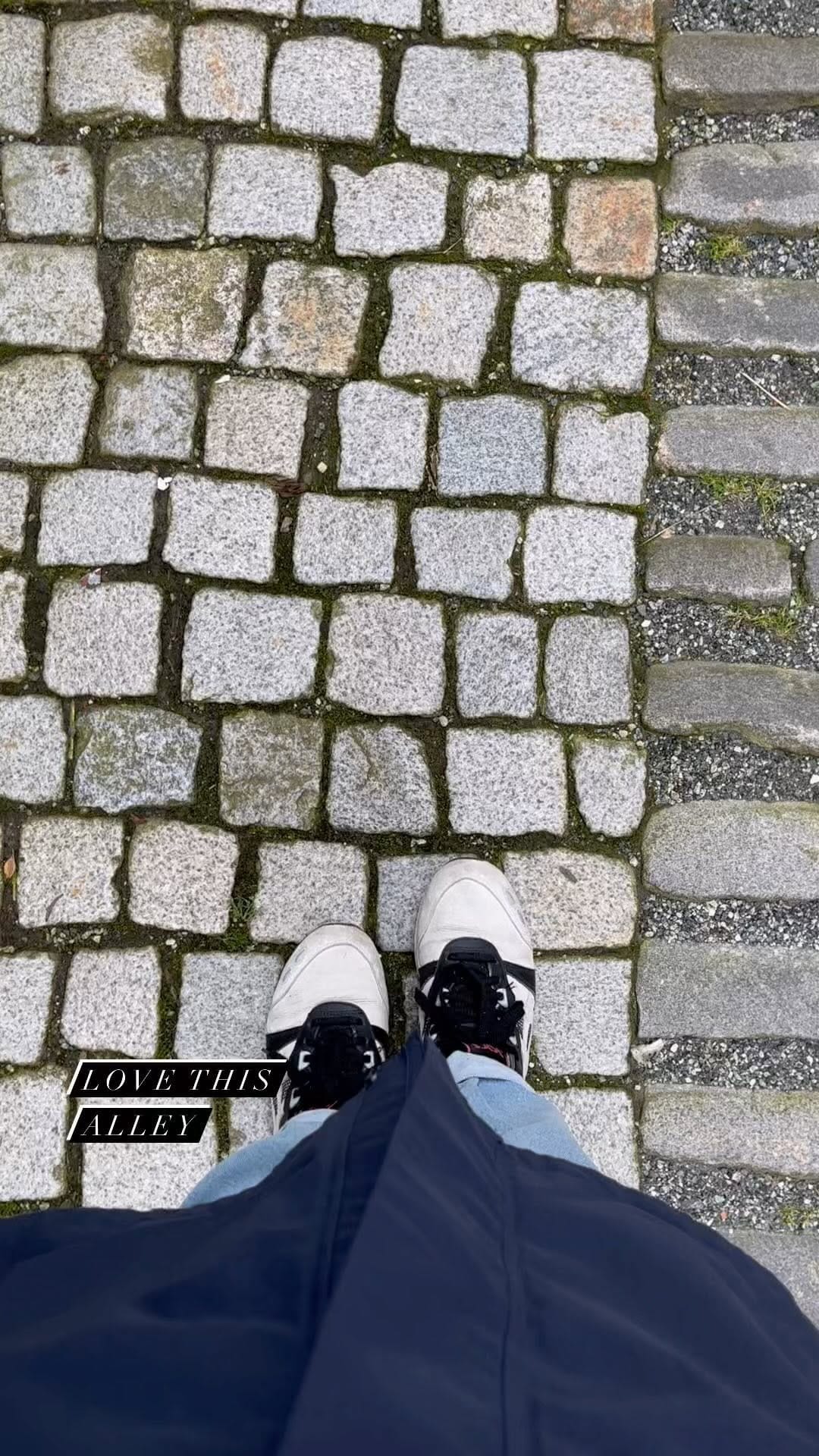 Post 6 by tatjana on Instagram (video)
