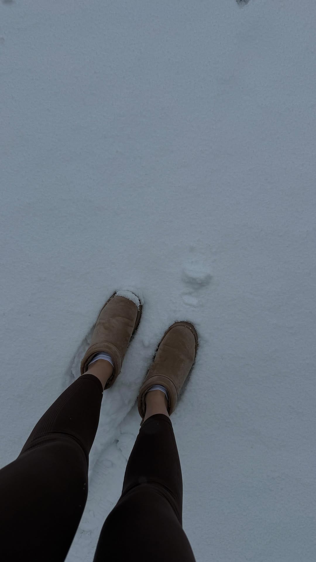 Post 6 by Marina Sviridova on Instagram (video)