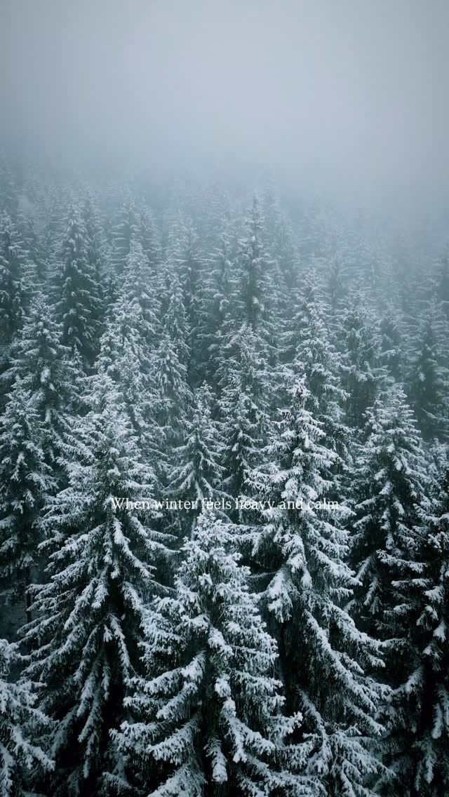 Post 8 by Manuela Palmberger on Instagram (video)