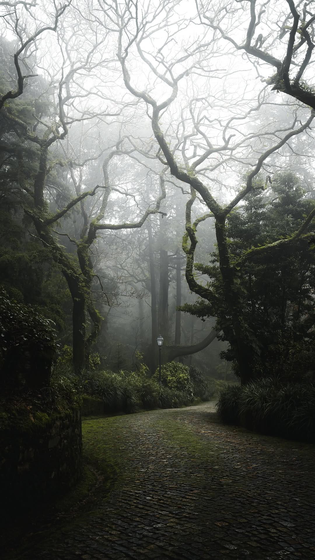Post 7 by Manuela Palmberger on Instagram (video)