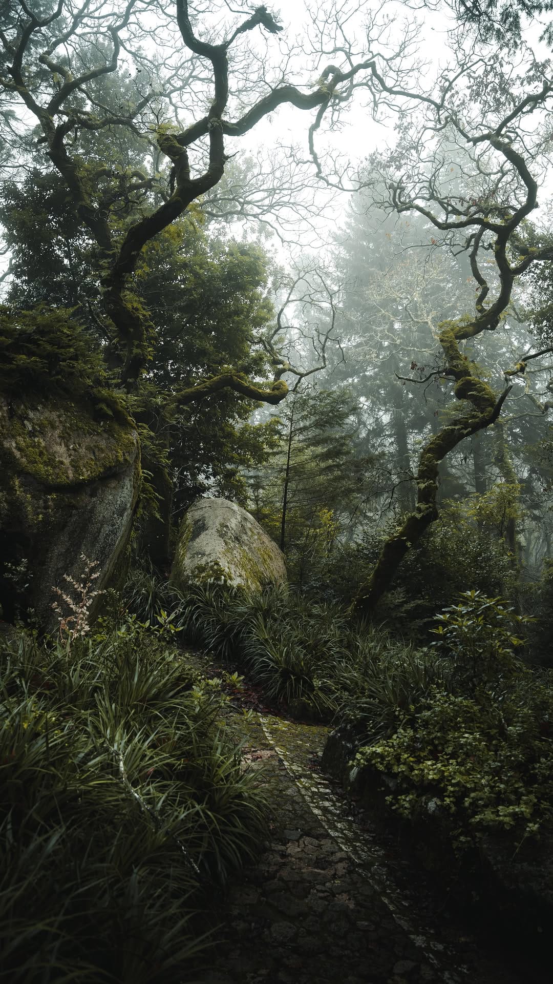 Post 3 by Manuela Palmberger on Instagram (video)