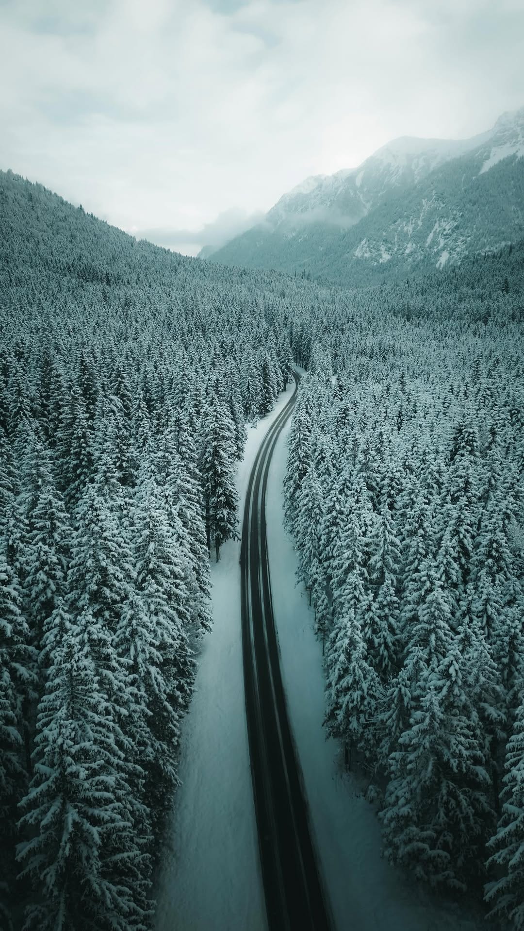 Post 6 by Manuela Palmberger on Instagram (video)