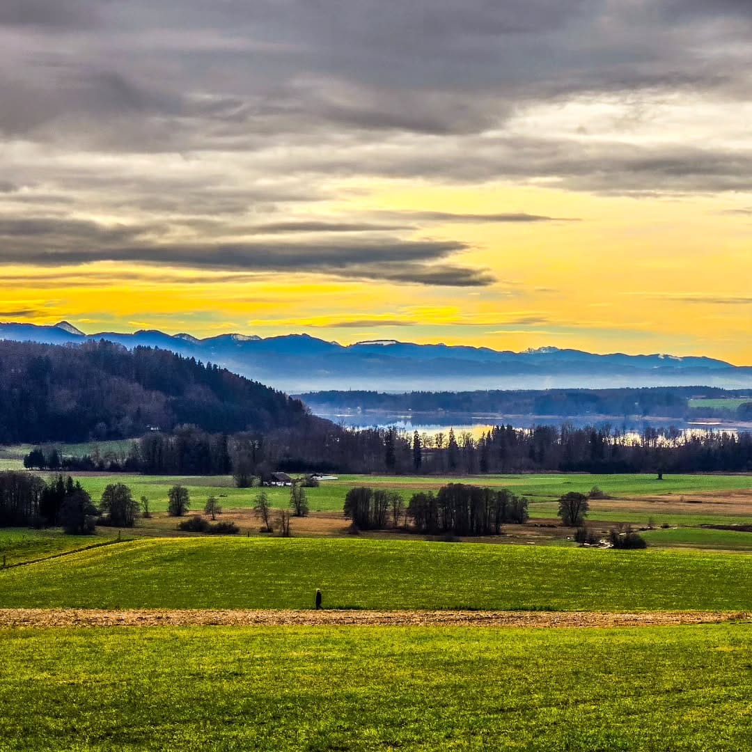 Post 6 by Raimund on Instagram (image)