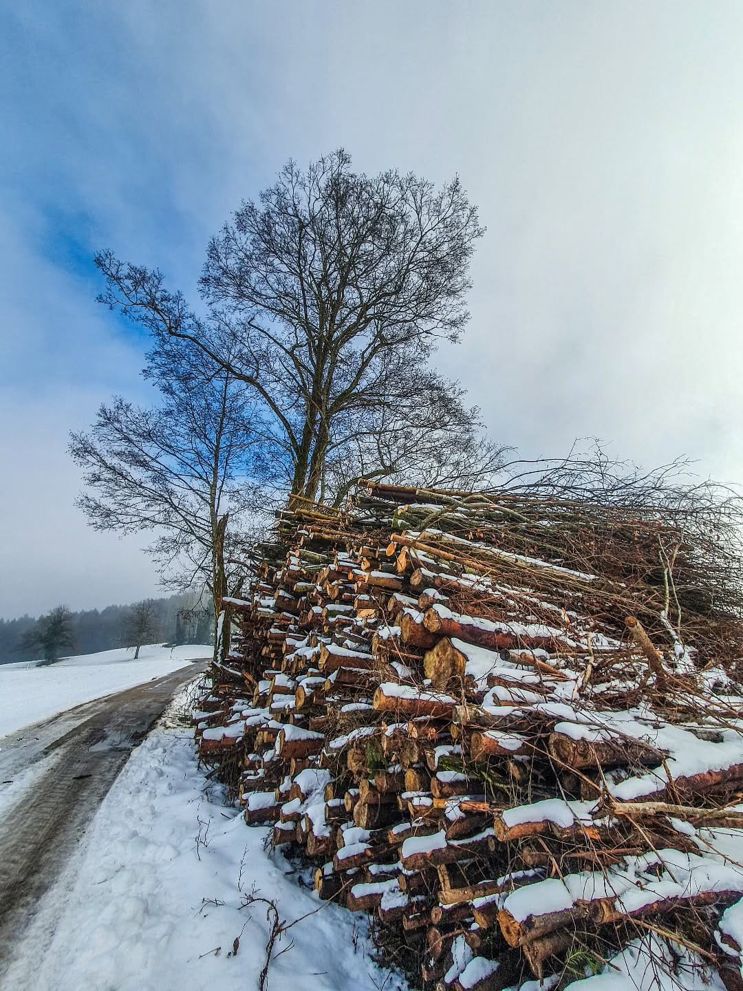 Post 2 by Raimund on Instagram (image)