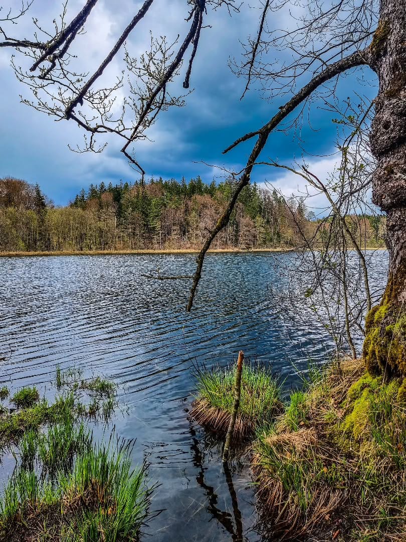 Post 7 by Raimund on Instagram (image)