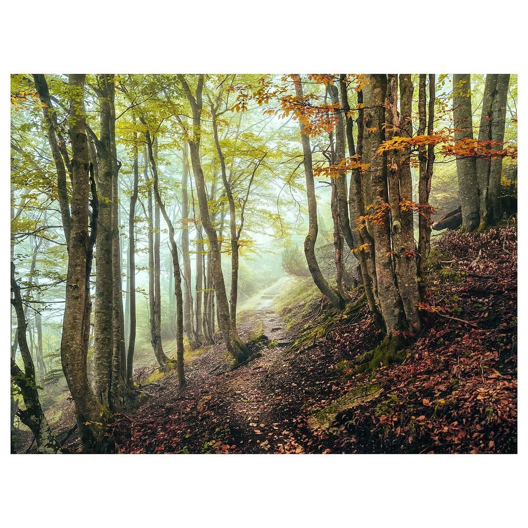 Post 7 by Jörg Wanderer on Instagram (image)