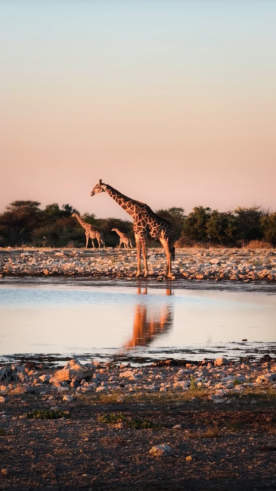 Post 4 by 𝐉𝐀𝐍𝐈 | Travel & Outdoor on Instagram (video)