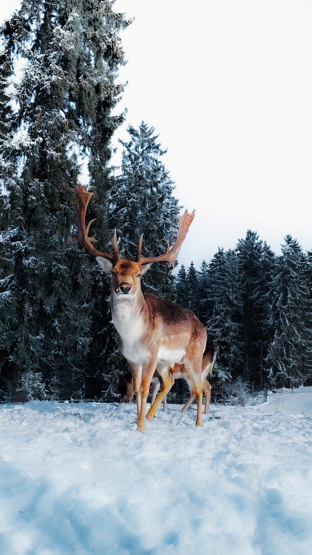 Post 10 by 𝐉𝐀𝐍𝐈 | Travel & Outdoor on Instagram (video)