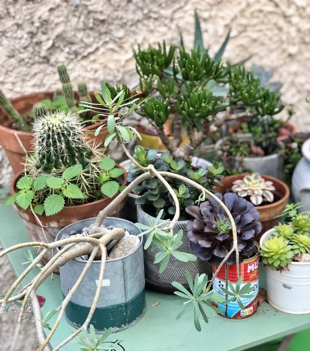 Post 8 by Kerstin Brachvogel on Instagram (image)