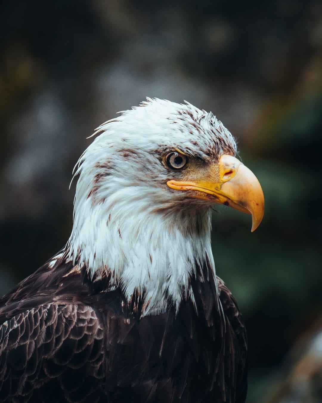 Post 10 by Mathias Rhode - Traveler Story on Instagram (image)