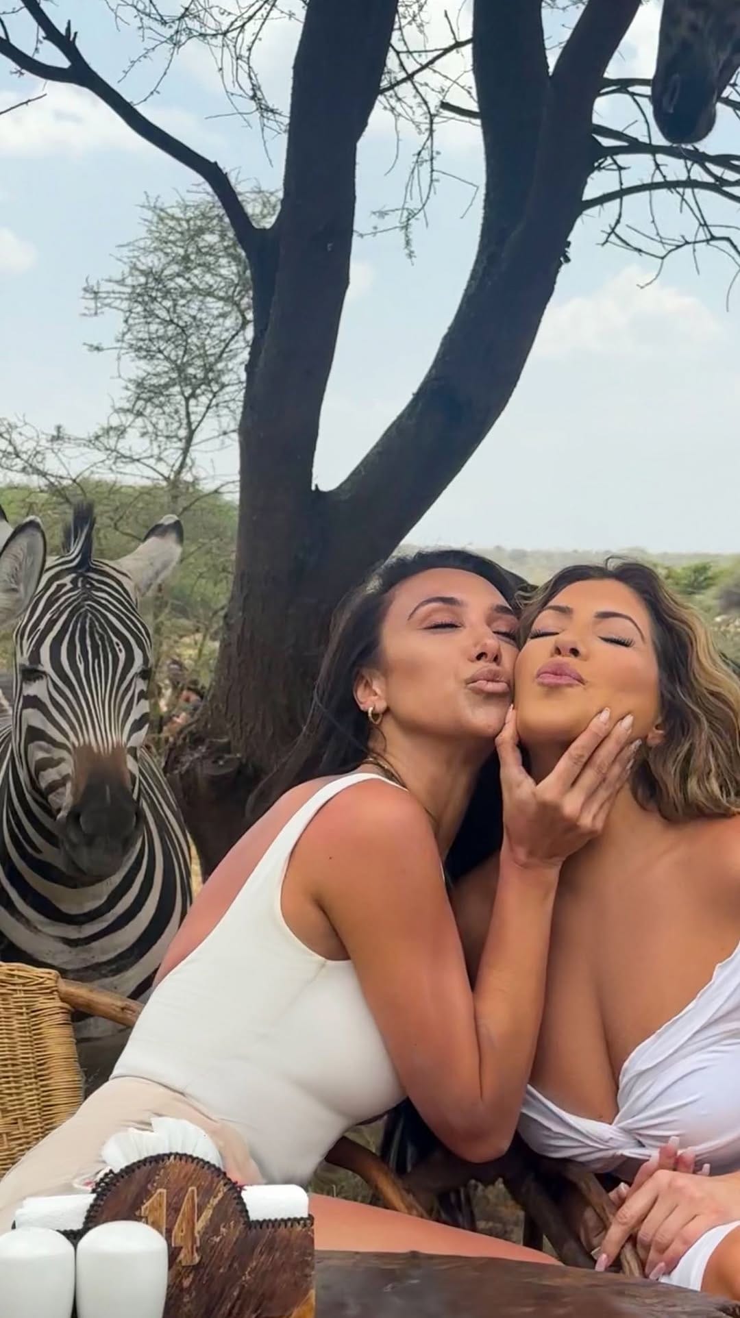 Post 8 by Jeana Khalil Asmaro on Instagram (video)