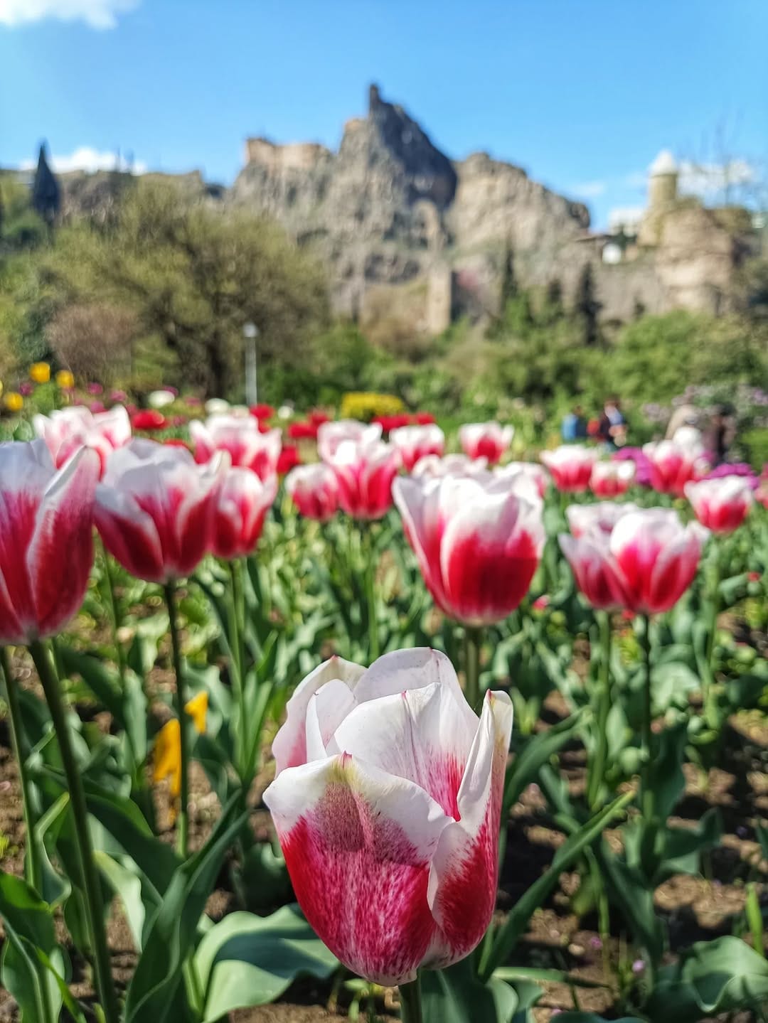 Post 2 by Ankita Shreeram on Instagram (carousel)