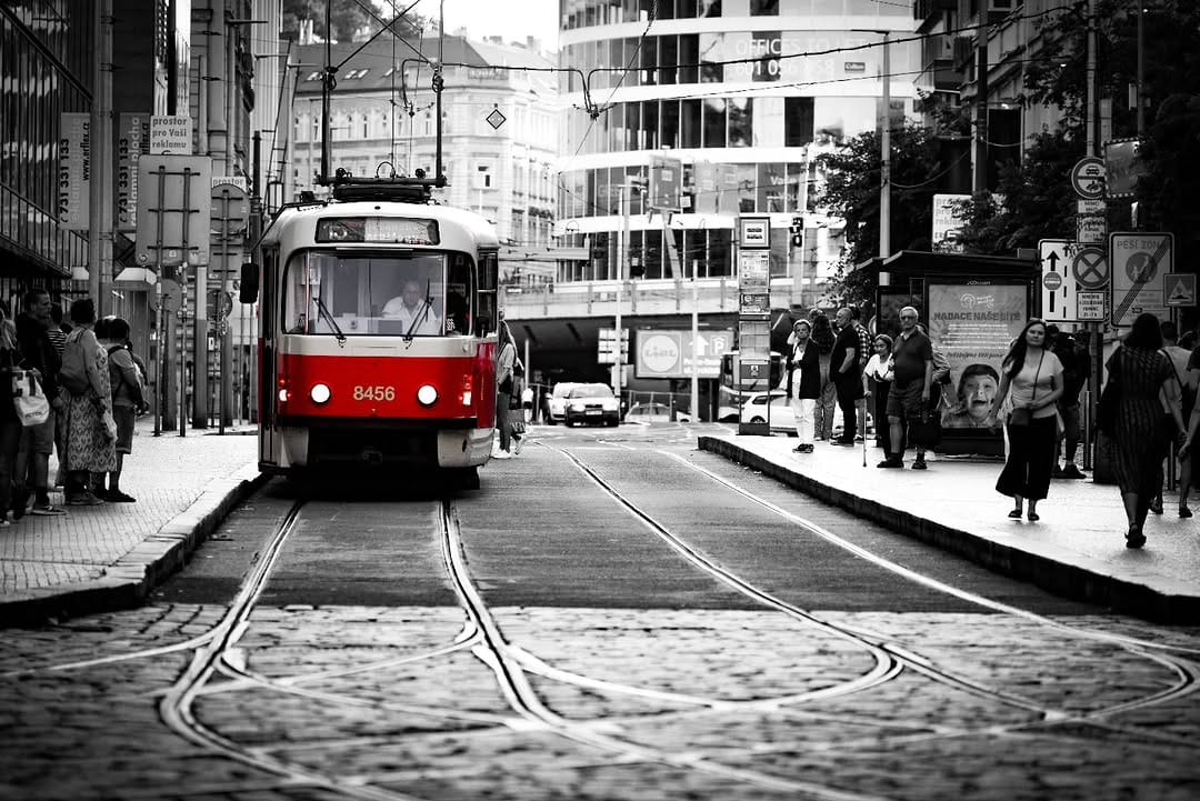 Post 7 by Andy Weber on Instagram (image)