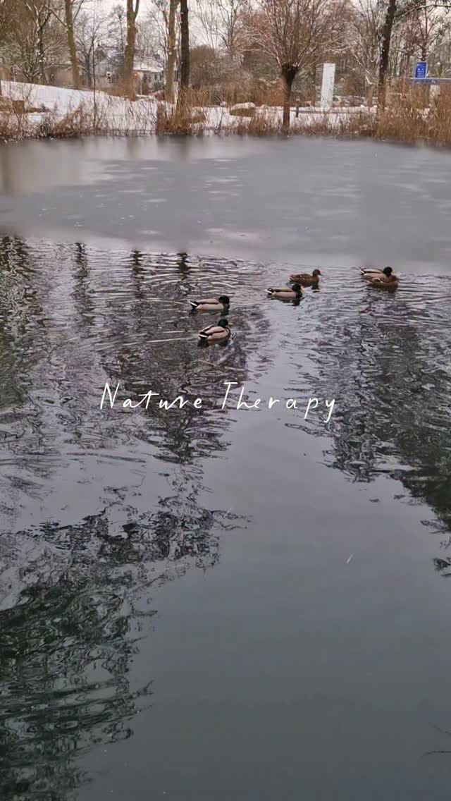 Post 7 by Marianna Gadimova on Instagram (video)