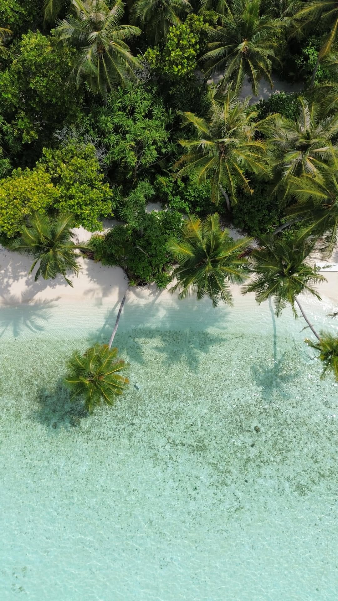 Post 3 by H e i d i ☼ Travel Creator | UGC on Instagram (video)
