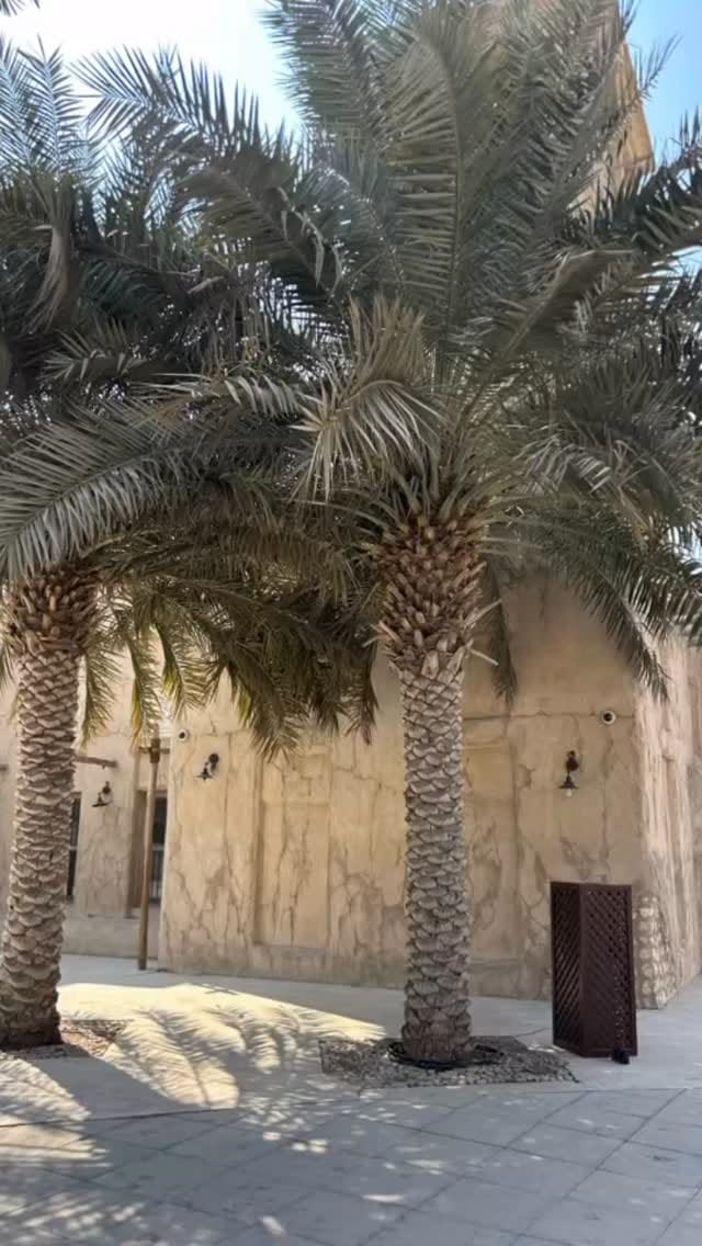 Post 7 by Fahima on Instagram (video)