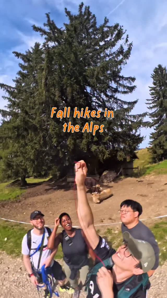 Post 7 by Kay from Dar on Instagram (video)