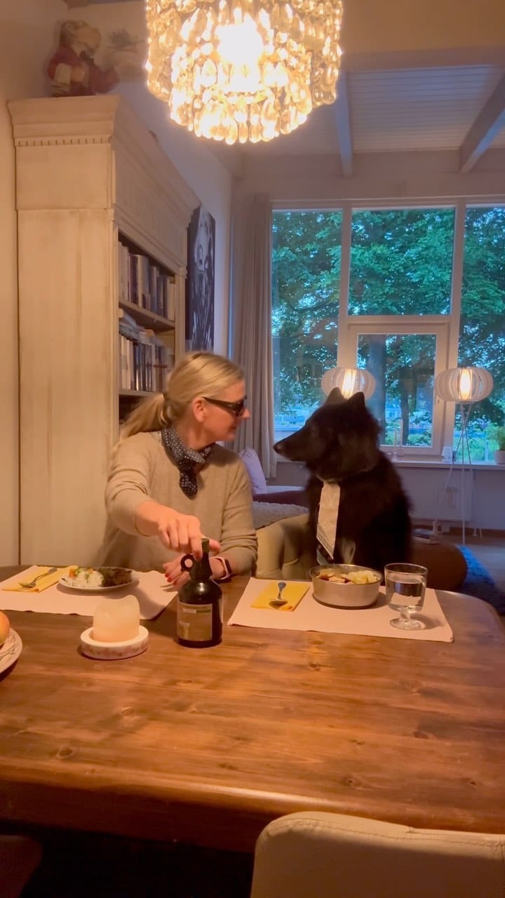 Post 10 by Tanja Lutz on Instagram (video)