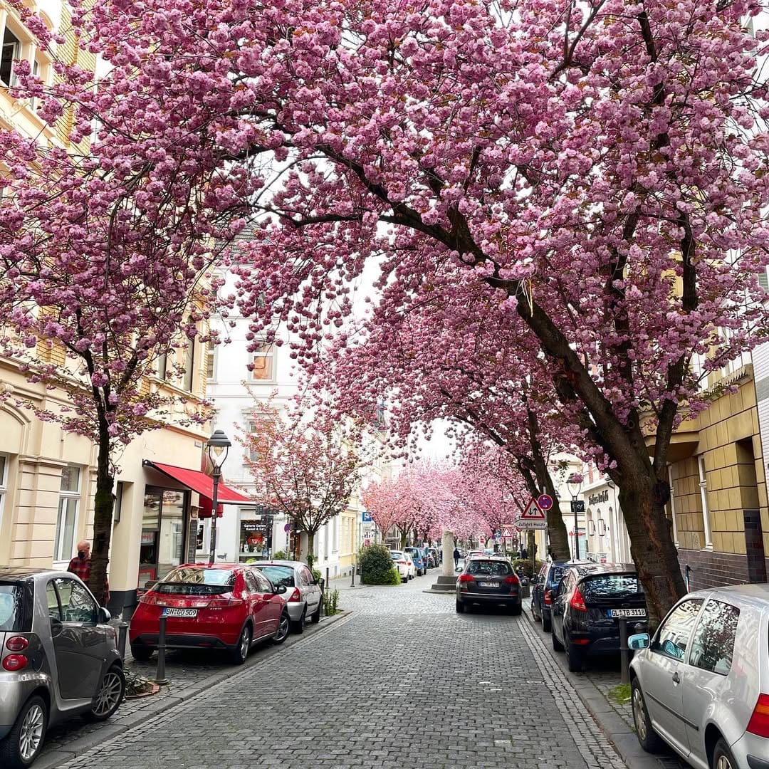 Post 8 by Svenja on Instagram (image)