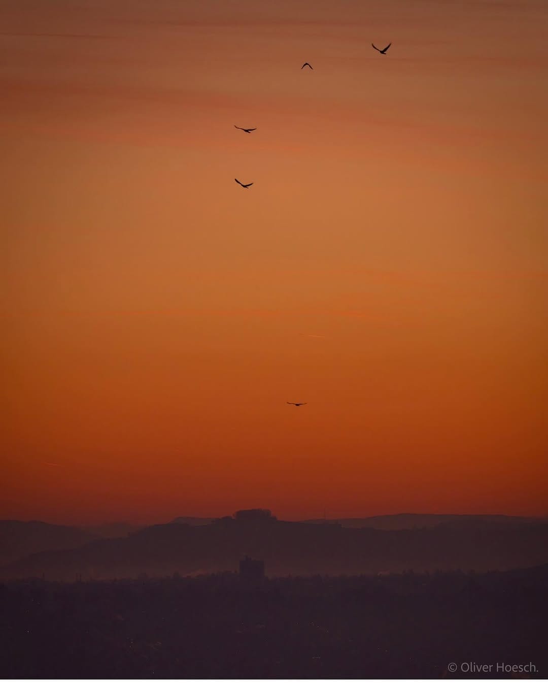 Post 7 by Oliver Hoesch on Instagram (image)