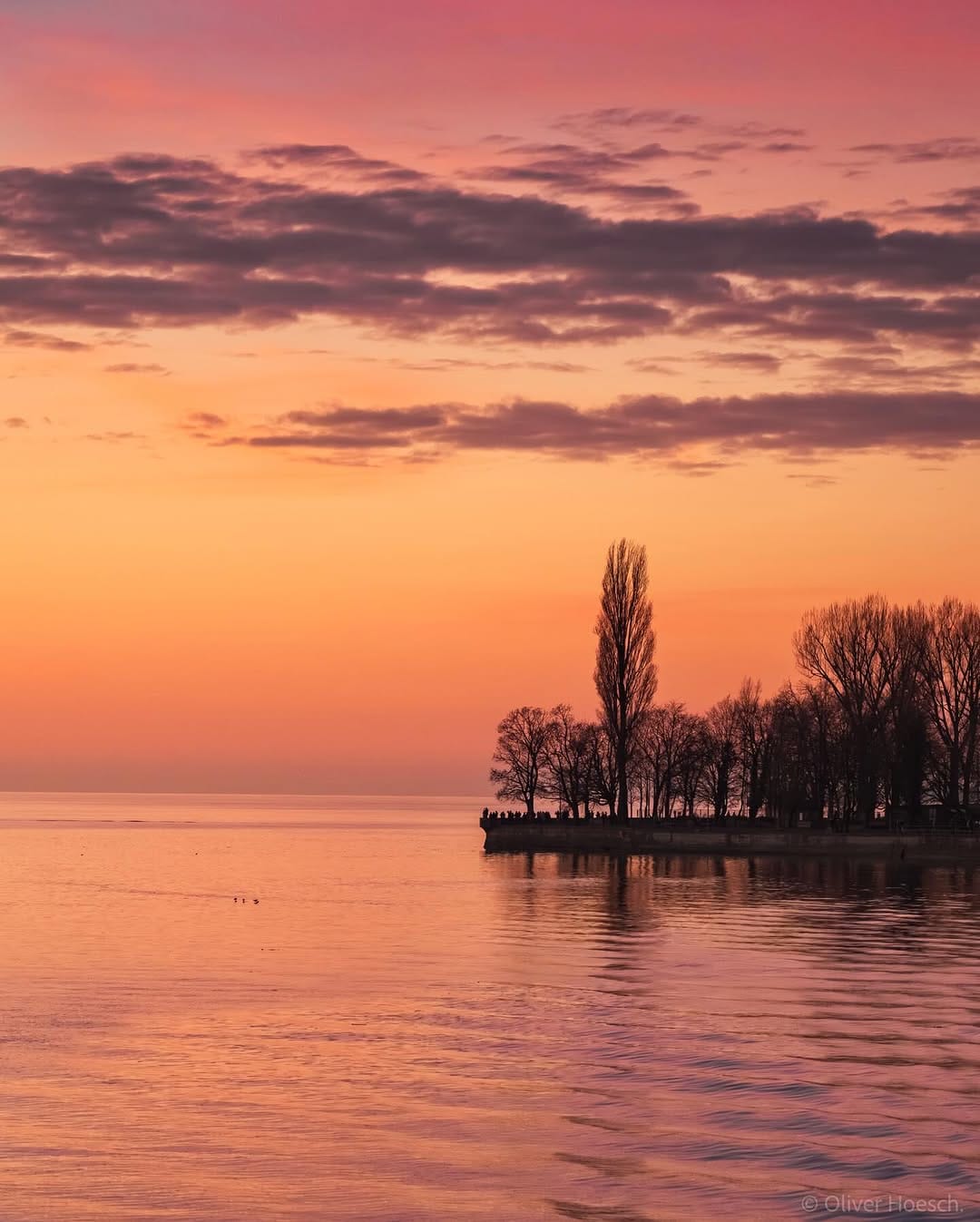 Post 6 by Oliver Hoesch on Instagram (image)