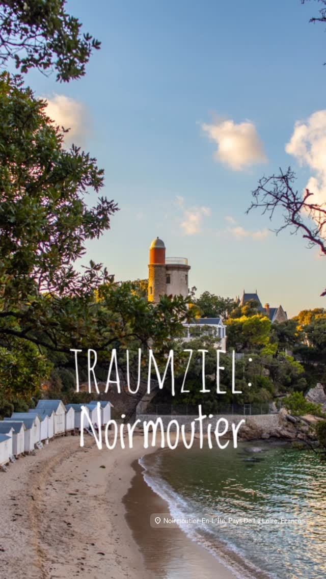 Post 6 by Claudia Zaltenbach on Instagram (video)
