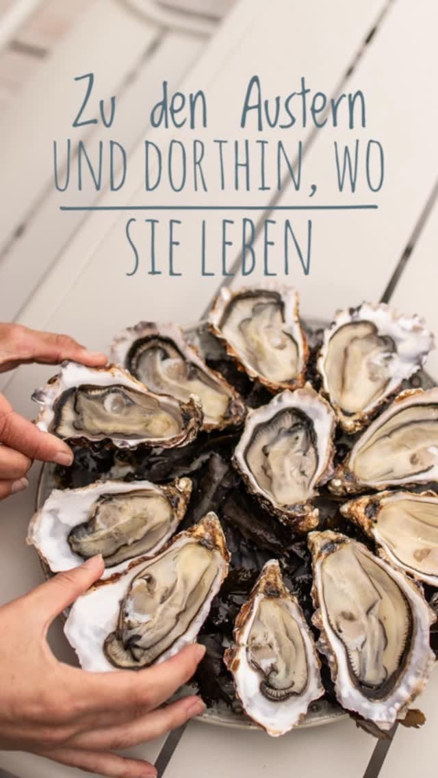 Post 9 by Claudia Zaltenbach on Instagram (video)