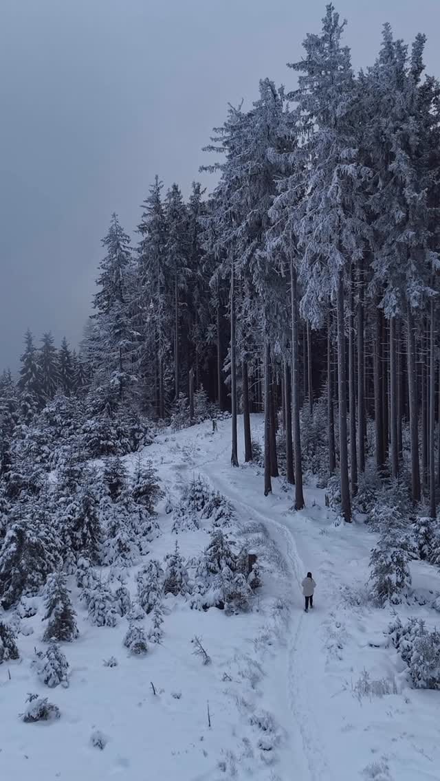 Post 2 by ᴀʟᴇɴᴀ |ᴛʀᴀᴠᴇʟ & ᴍᴏᴜɴᴛᴀɪɴs on Instagram (video)