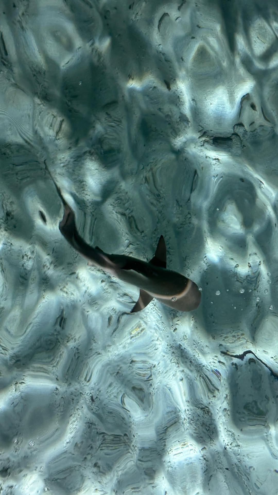 Post 10 by Peter Pohle,Travel-Inspiration on Instagram (video)