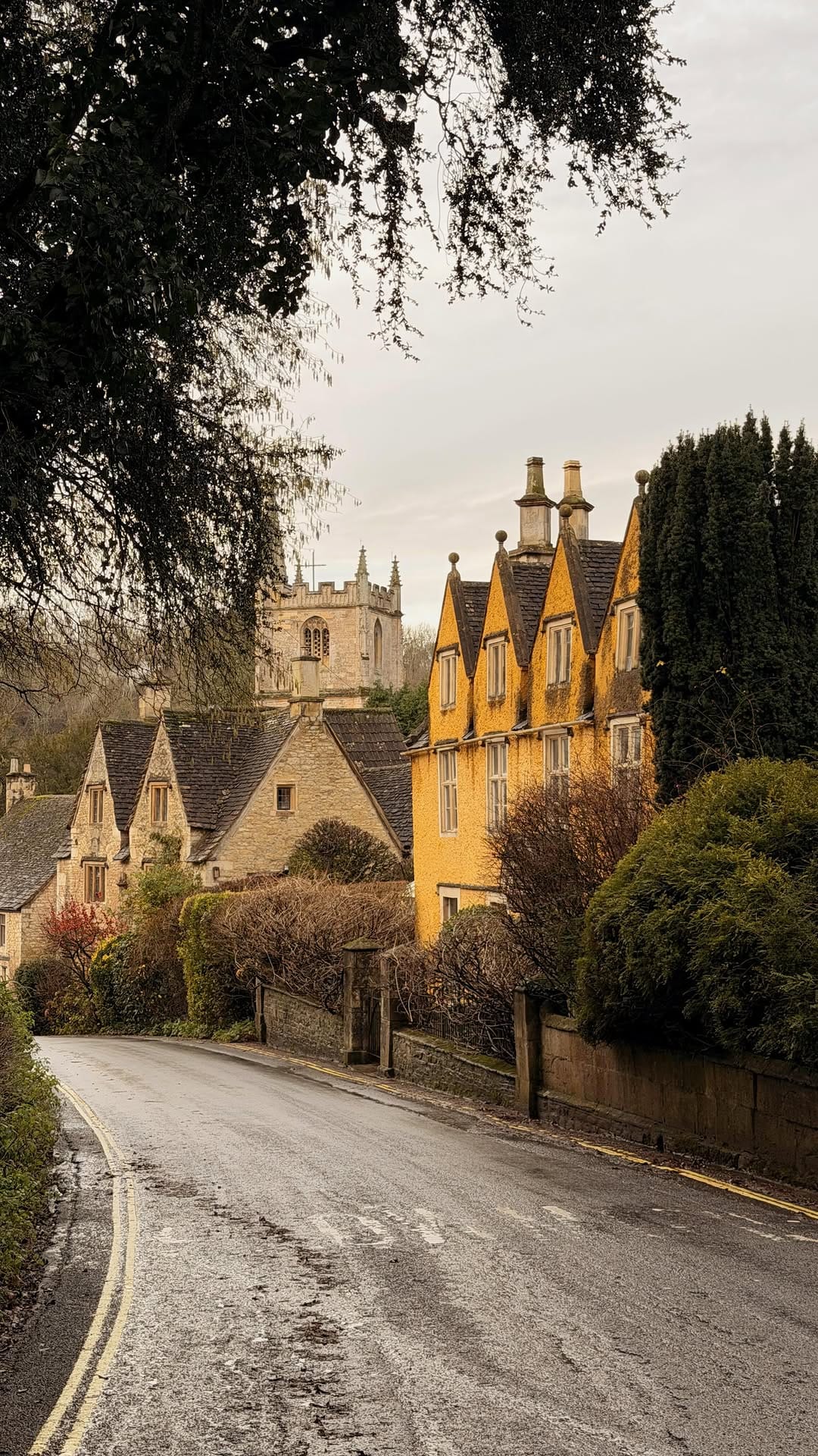 Post 6 by Sandra — Capturing quiet beauty on Instagram (video)