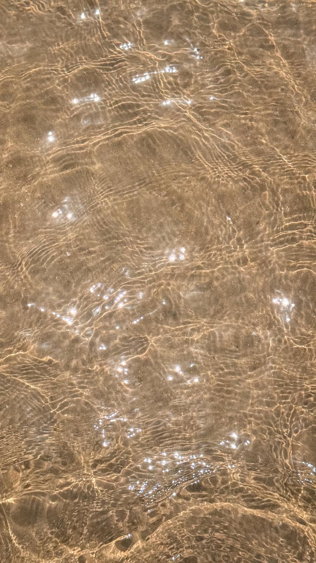 Post 9 by Riadh Larbi on Instagram (video)