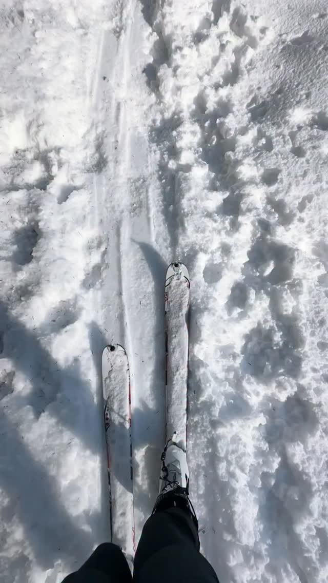 Post 4 by ⠀⠀⠀⠀⠀⠀ ━─┉┈◈ C L O O D I ◈┈┉─━ on Instagram (video)