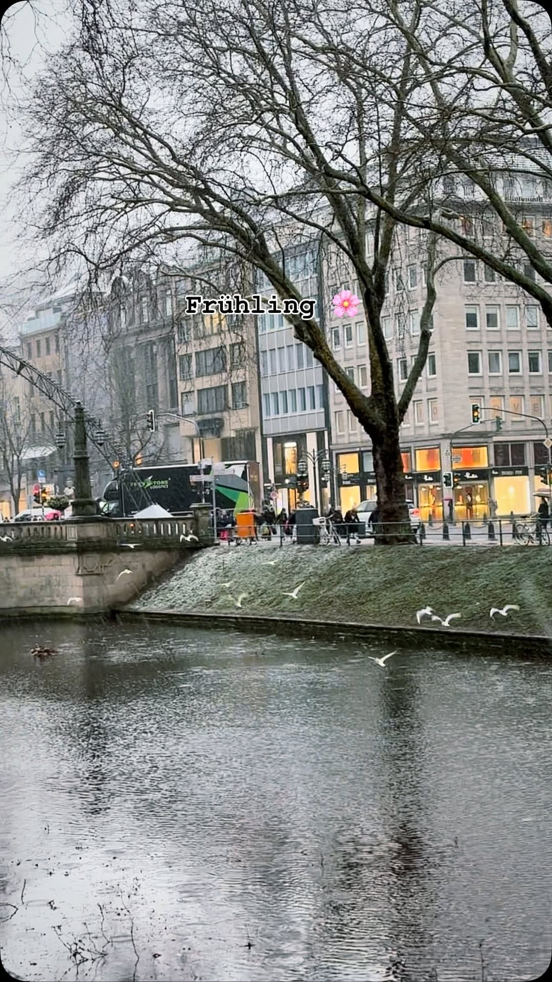 Post 10 by Duesseldorf on Instagram (video)