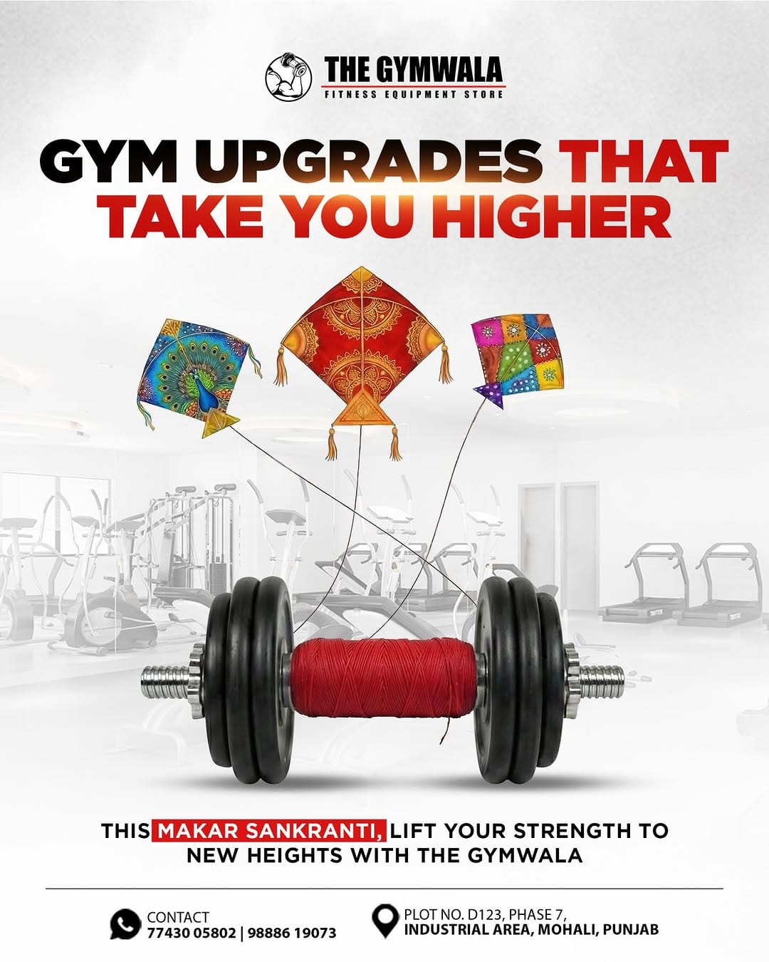 Post 3 by The Gym Wala - Gym Equipment Store on Instagram (image)