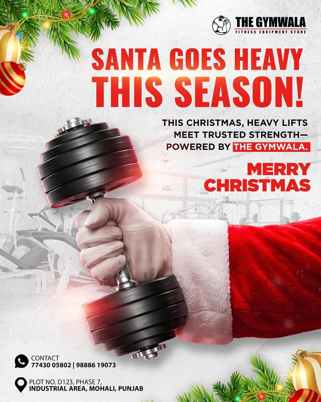 Post 6 by The Gym Wala - Gym Equipment Store on Instagram (image)