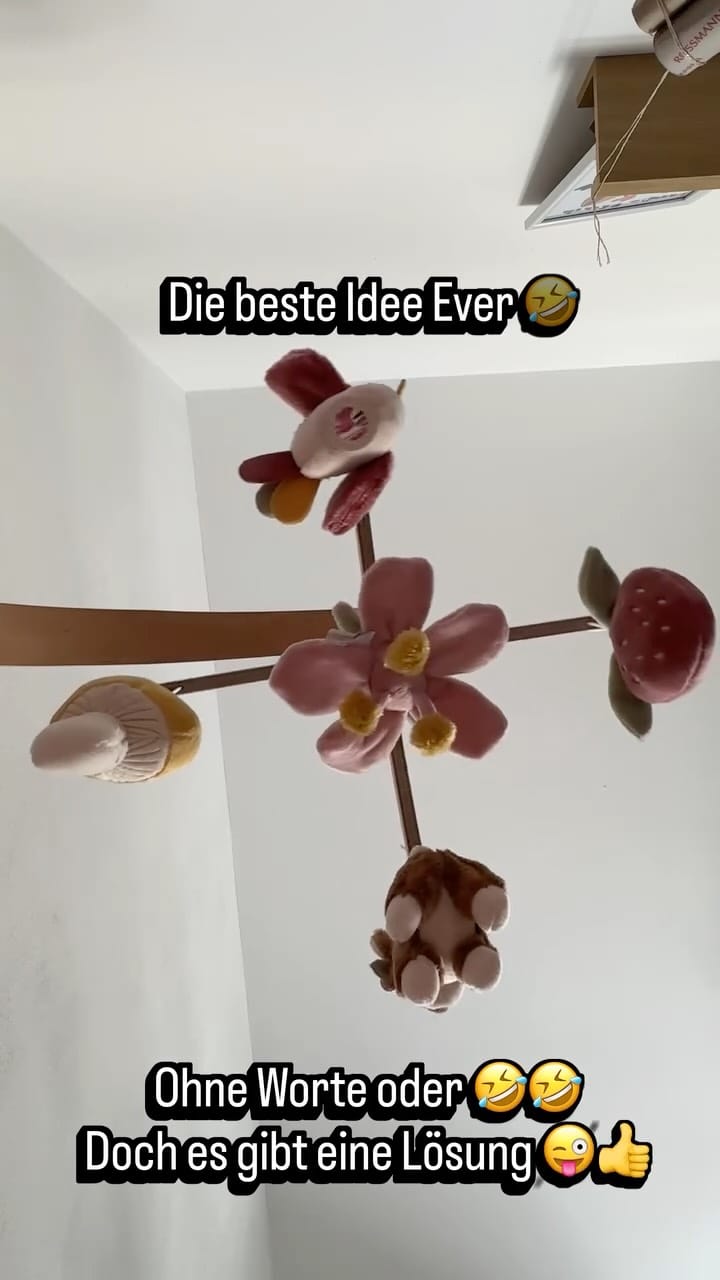 Post 2 by Alex Fuchs on Instagram (video)