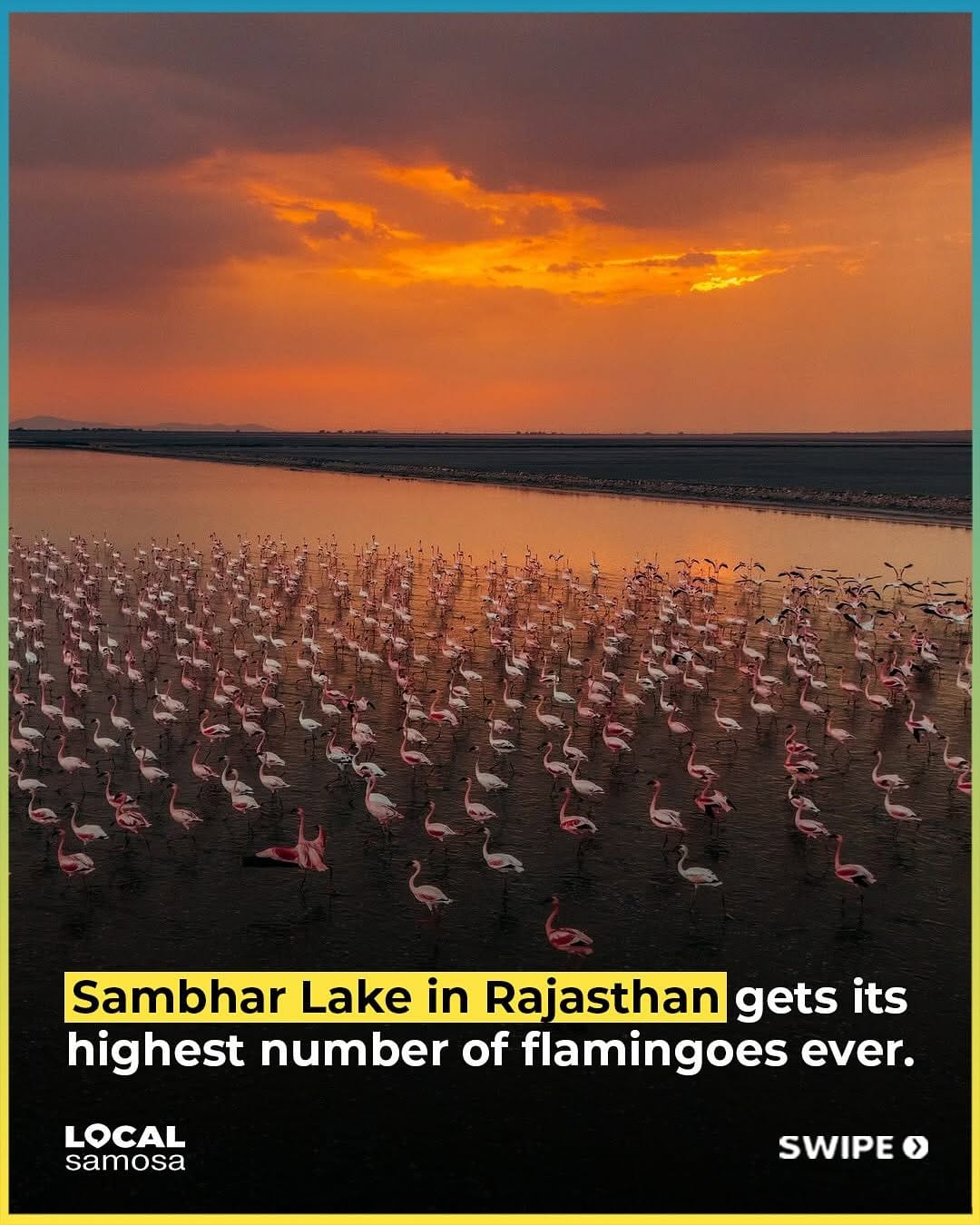 Post 2 by Local Samosa Rajasthan on Instagram (carousel)