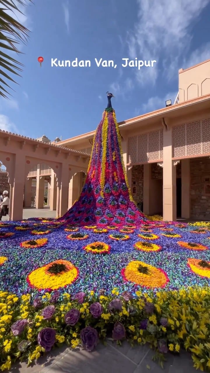 Post 10 by Local Samosa Rajasthan on Instagram (video)
