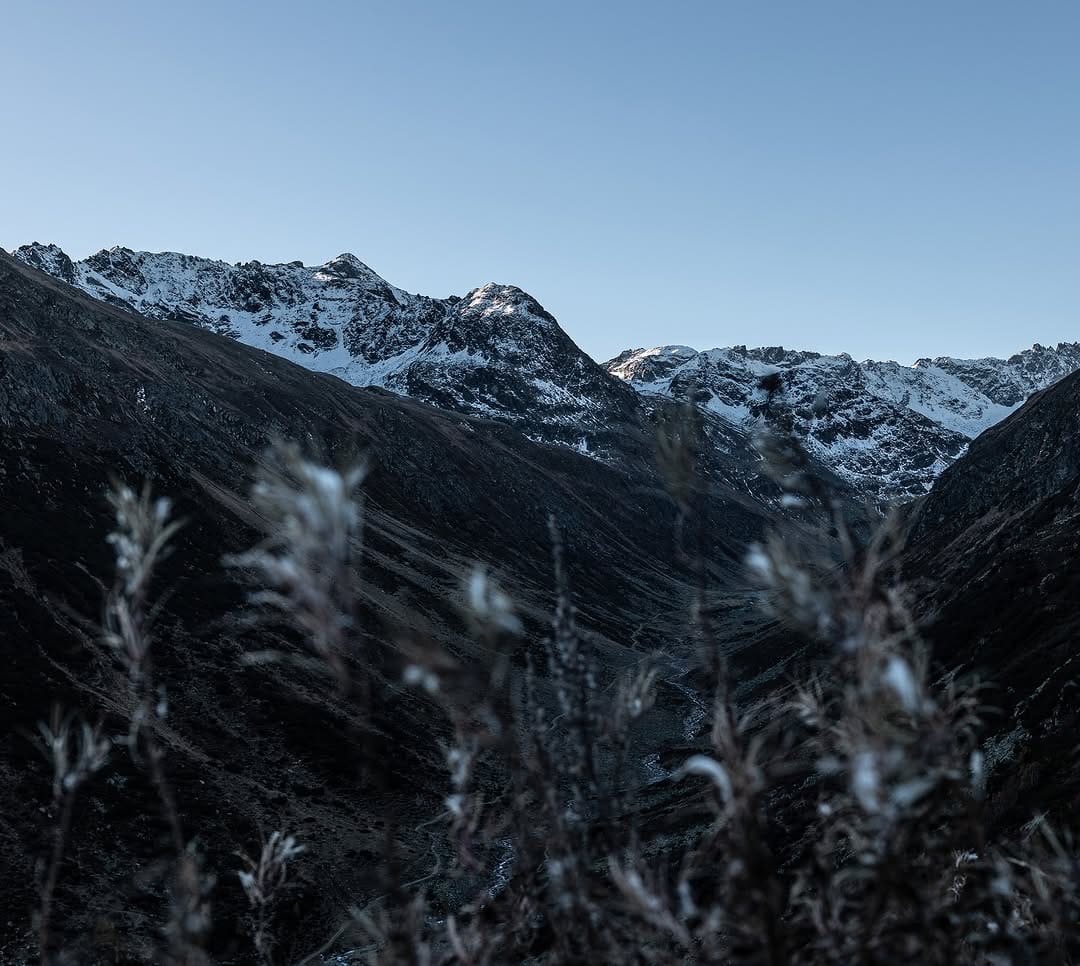 Post 8 by Matthias Haberstock on Instagram (image)