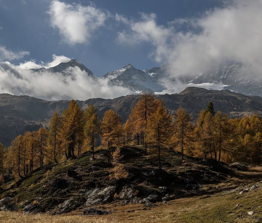 Post 7 by Matthias Haberstock on Instagram (image)