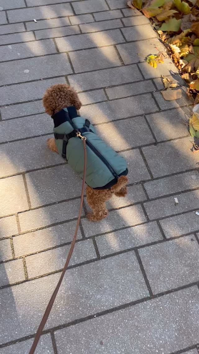 Post 5 by uDOTde on Instagram (video)
