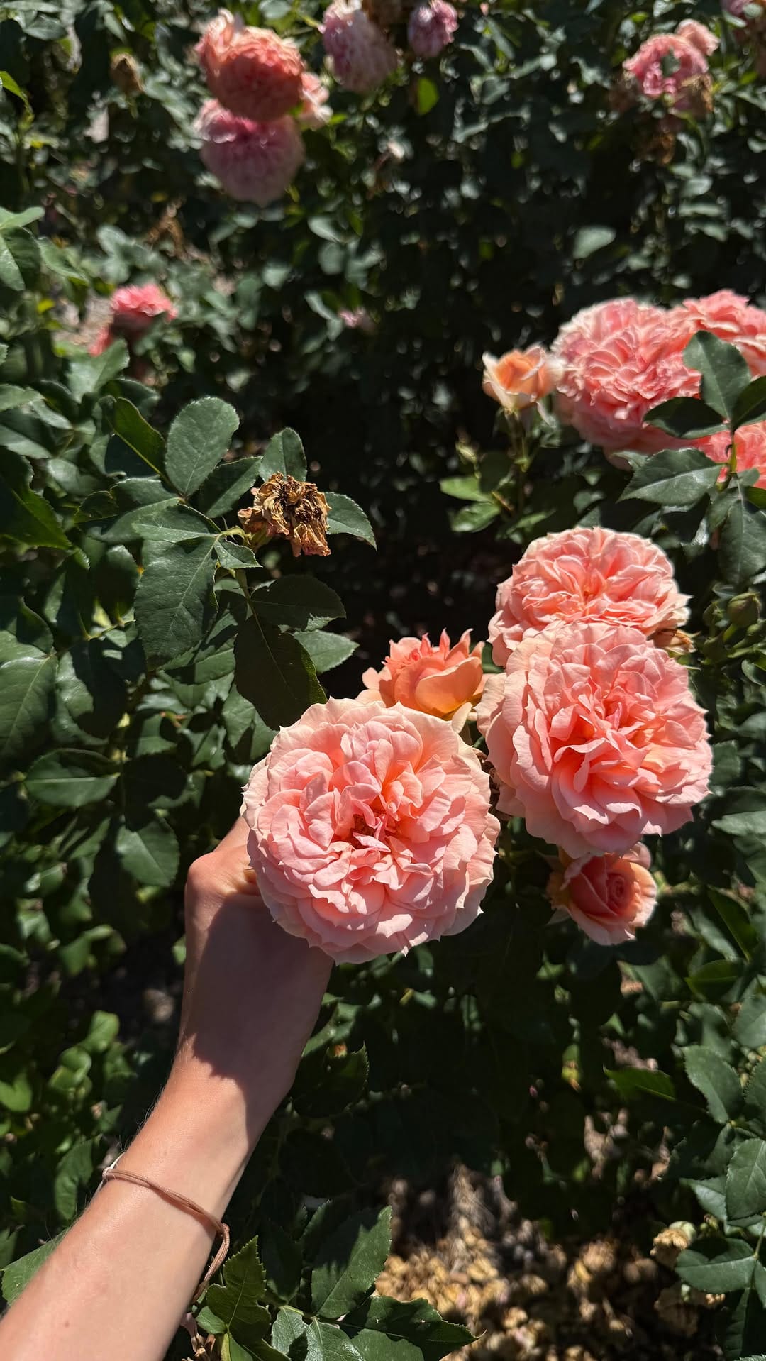 Post 6 by Greta Sofie on Instagram (video)