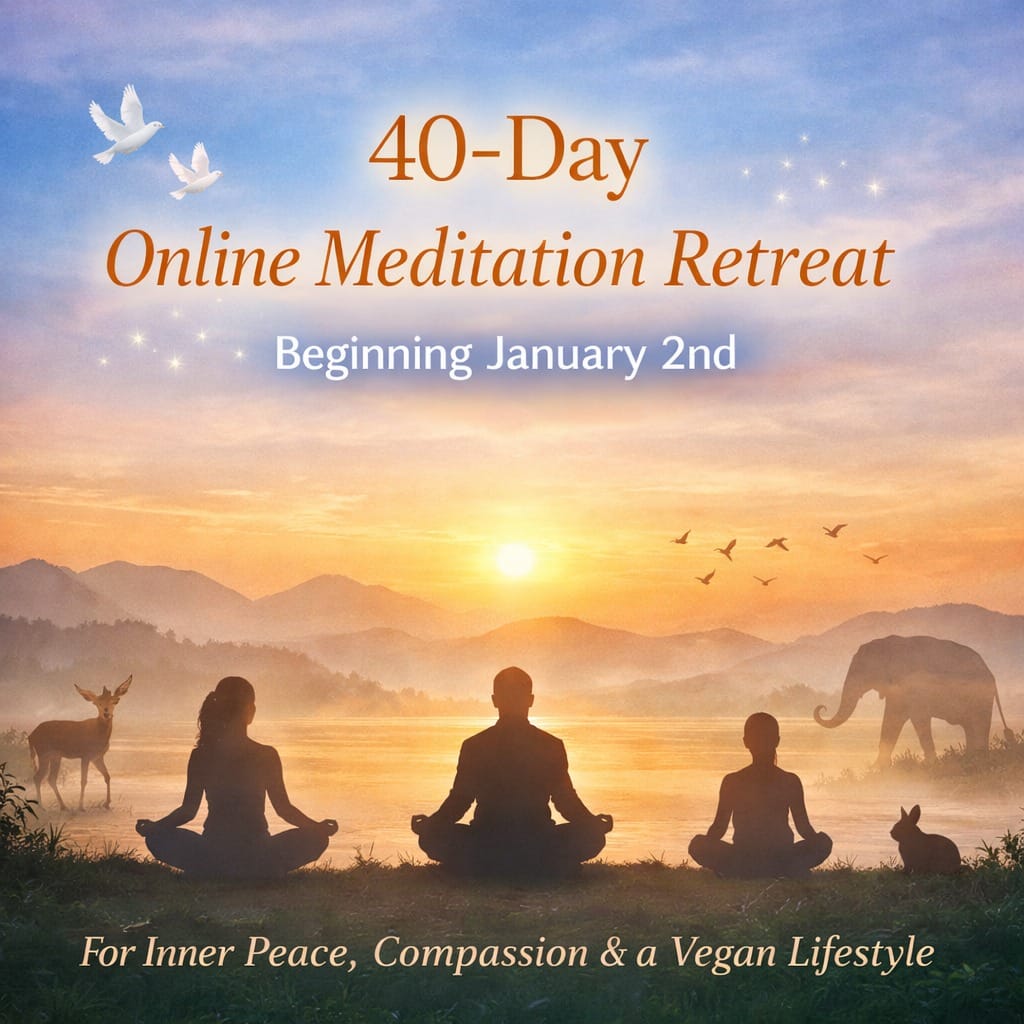 Post 6 by Gaia Retreat House on Instagram (image)
