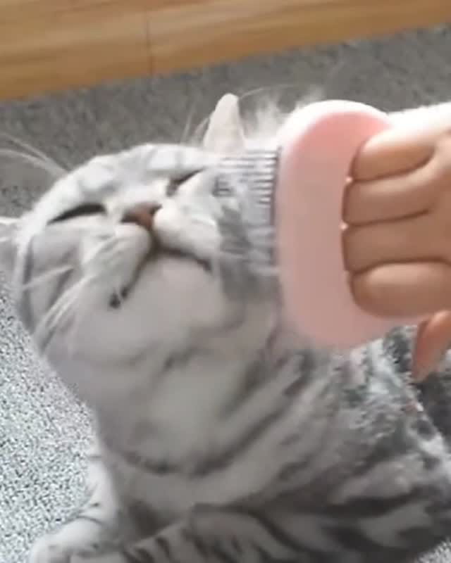 Post 9 by SaNöHa on Instagram (video)