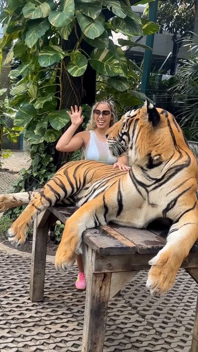 Post 3 by Lynda🌹Rose on Instagram (video)